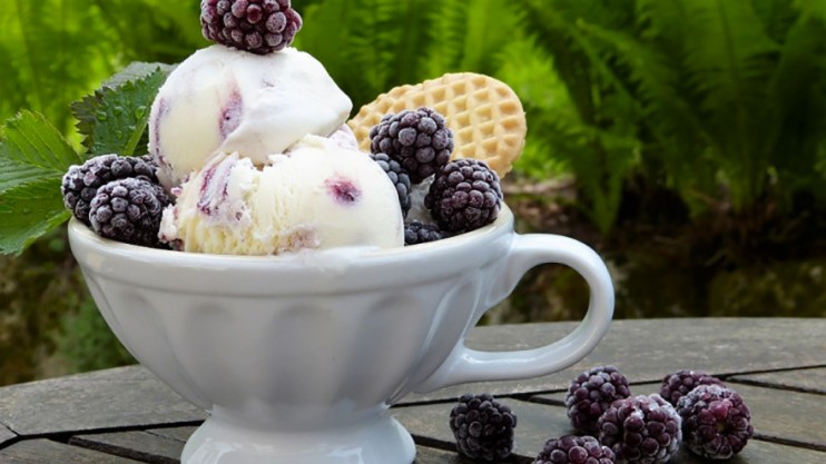 ​Mes 3 livres préférés pour faire des glaces maisons